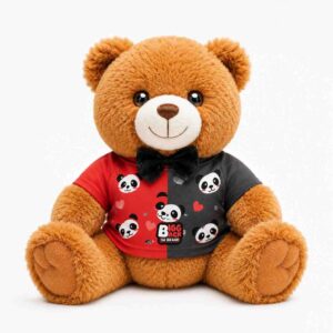 Teddy Bear with T-Shirt