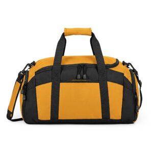 Bigg Back Gold Baby Travel Bag
